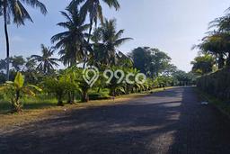 Tanah Area Potensial di , Luas 824m2m², Lingkungan Nyaman, Dekat Badung, Badung Tanah Area Potensial di , Luas 824m2m², Lingkungan Nyaman, Dekat Badung, Badung
