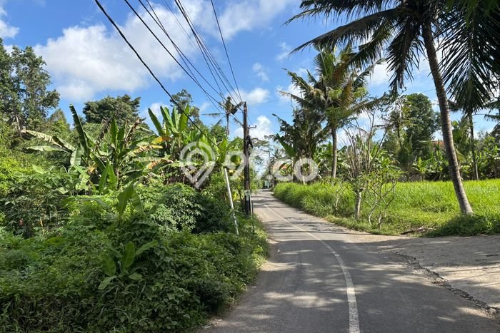 Untuk Dijual Tanah di Gianyar, Luas 205m2 SHM Untuk Dijual Tanah di Gianyar, Luas 205m2 SHM
