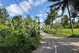 Untuk Dijual Tanah di Gianyar, Luas 205m2 SHM Untuk Dijual Tanah di Gianyar, Luas 205m2 SHM