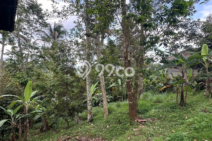 Lahan Dijual Lokasi Penebel, Tabanan dengan Luas Tanah 2830m2 dan Status SHM Lahan Dijual Lokasi Penebel, Tabanan dengan Luas Tanah 2830m2 dan Status SHM