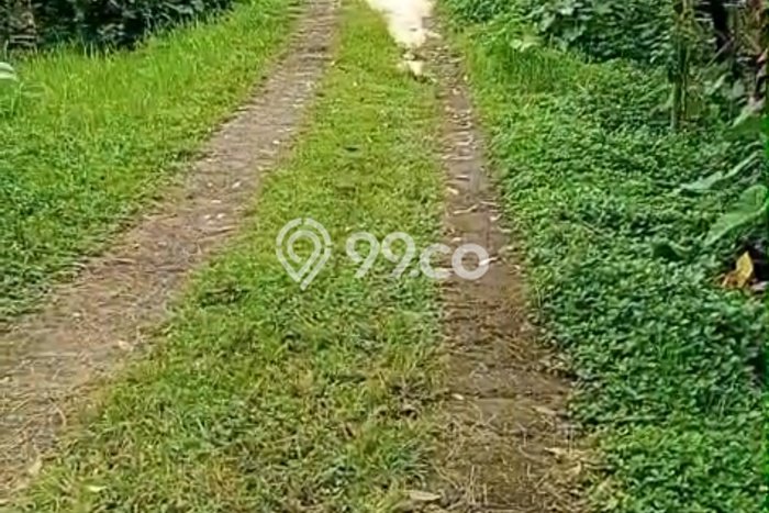 Kavling Tanah di Marga Dijual Luas 3300m2 Legalitas SHM Kavling Tanah di Marga Dijual Luas 3300m2 Legalitas SHM