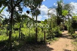 Land Rental Tanah di Ubud, Luas 400m2m², Lokasi Potensial Land Rental Tanah di Ubud, Luas 400m2m², Lokasi Potensial
