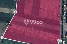 Tanah Kavling Dijual di Mojokerto dengan Spesifikasi 120000m2 Tanah Kavling Dijual di Mojokerto dengan Spesifikasi 120000m2