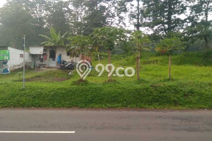 Tanah Kavling untuk Dijual di Tutur Pasuruan 2800m2 Tanah Kavling untuk Dijual di Tutur Pasuruan 2800m2