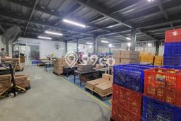 Gudang Bagus Dijual LB 1000m2 Lokasi Strategis Tangerang Area Cocok untuk Berbisnis Gudang Bagus Dijual LB 1000m2 Lokasi Strategis Tangerang Area Cocok untuk Berbisnis