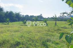 Untuk Dijual Tanah di Gunung Sindur Bogor Luas 9765m2 SHM Untuk Dijual Tanah di Gunung Sindur Bogor Luas 9765m2 SHM