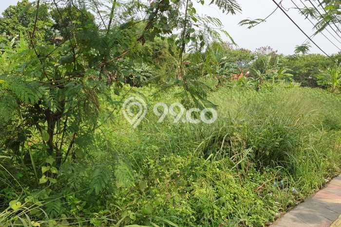 Kavling Tanah Dijual di Setu Tangerang Selatan Spesifikasi 4000m2 Kavling Tanah Dijual di Setu Tangerang Selatan Spesifikasi 4000m2