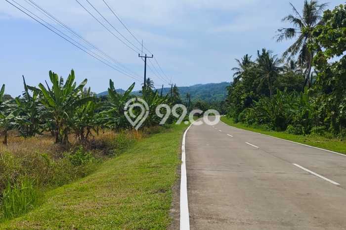 Tanah Dijual Lokasi Strategis di Pandeglang dengan Luas 3366m2 Tanah Dijual Lokasi Strategis di Pandeglang dengan Luas 3366m2