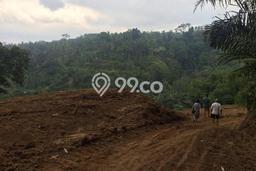 Jarang Ada! Tanah di Ubud Punya Luas 3800m2 SHM Jarang Ada! Tanah di Ubud Punya Luas 3800m2 SHM