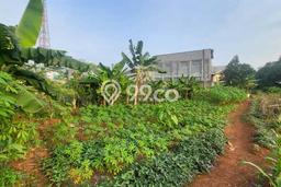 Tanah Komersial Dijual di Gunung Sindur Bogor 13000m2 Tanah Komersial Dijual di Gunung Sindur Bogor 13000m2