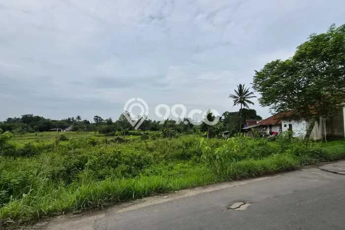 Lahan untuk Dijual Lokasi Cileles, Lebak Luas 100000m2 SHM Lahan untuk Dijual Lokasi Cileles, Lebak Luas 100000m2 SHM