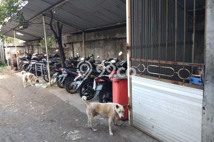 Dijual! Pabrik di Jimbaran Badung LT 2400m2 / LB 3000m2 Kawasan Bisnis Dijual! Pabrik di Jimbaran Badung LT 2400m2 / LB 3000m2 Kawasan Bisnis
