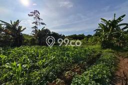 Dijual Tanah 40000m2 di Jatake, Tangerang Dijual Tanah 40000m2 di Jatake, Tangerang
