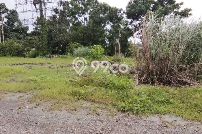 Tanah Kavling untuk Dijual di Jonggol Bogor 2e+06m2 Tanah Kavling untuk Dijual di Jonggol Bogor 2e+06m2
