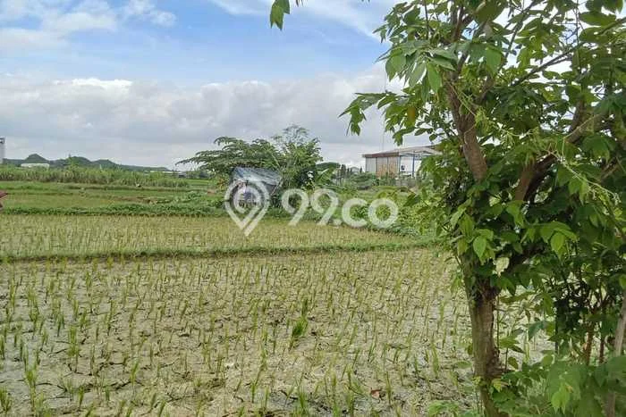 Untuk Dijual Tanah di Bogor, Luas 600000m2 - Untuk Dijual Tanah di Bogor, Luas 600000m2 -