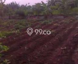 Tanah Kavling Dijual di Pasar Kemis, Tangerang dengan Luas Tanah 43370m2 Tanah Kavling Dijual di Pasar Kemis, Tangerang dengan Luas Tanah 43370m2
