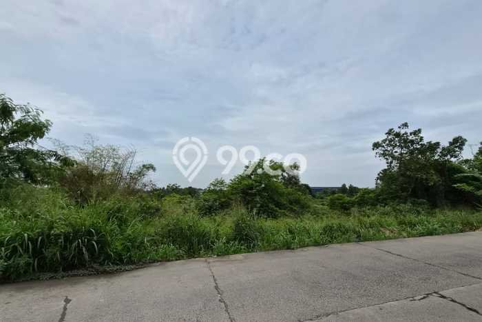 Lahan Investasi Lokasi Cileles Lebak AJB Lahan Investasi Lokasi Cileles Lebak AJB