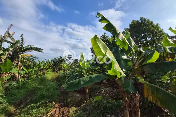 Dijual Tanah 40000m2 di Jatake, Tangerang Dijual Tanah 40000m2 di Jatake, Tangerang