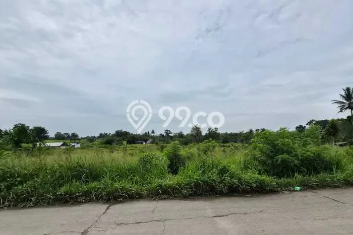Lahan untuk Dijual Lokasi Cileles, Lebak Luas 100000m2 SHM Lahan untuk Dijual Lokasi Cileles, Lebak Luas 100000m2 SHM