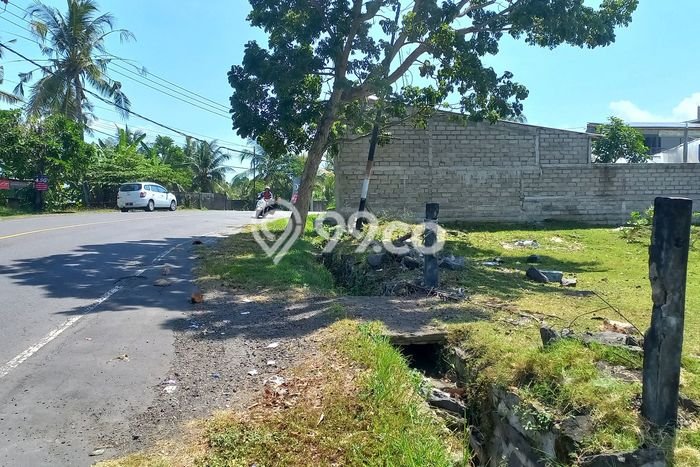 Tanah Kavling Dijual di Tabanan dengan Spesifikasi 1200m2 Tanah Kavling Dijual di Tabanan dengan Spesifikasi 1200m2