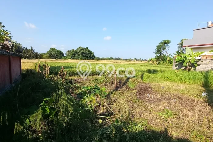 Tanah Kavling Dijual di Beraban, Tabanan dengan Luas Tanah 130m2 Tanah Kavling Dijual di Beraban, Tabanan dengan Luas Tanah 130m2