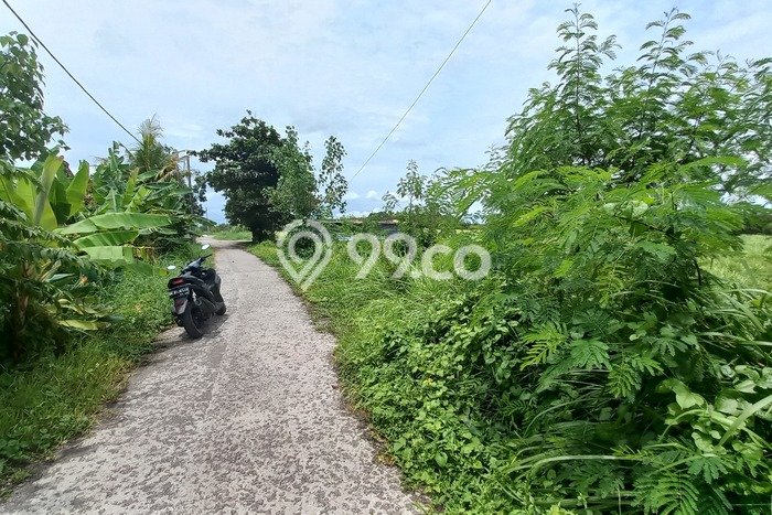 Tanah Kawasan Beraban, Luas 630m², Akses Beraban, Tabanan, Tabanan Tanah Kawasan Beraban, Luas 630m², Akses Beraban, Tabanan, Tabanan
