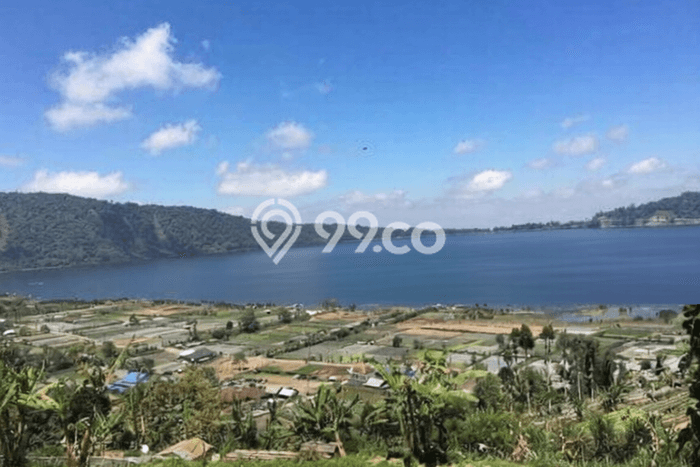 Tanah Investasi Dijual di Tabanan Punya Luas 15000m2 Tanah Investasi Dijual di Tabanan Punya Luas 15000m2