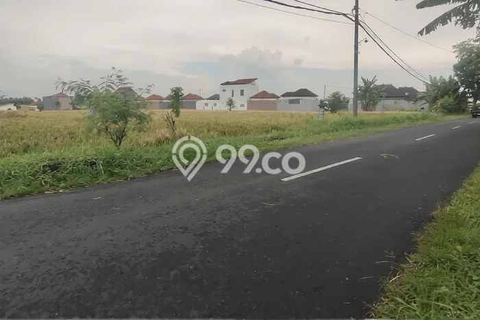 Dijual Tanah Lokasi Gubug, Tabanan Seluas 3200m2 Dijual Tanah Lokasi Gubug, Tabanan Seluas 3200m2