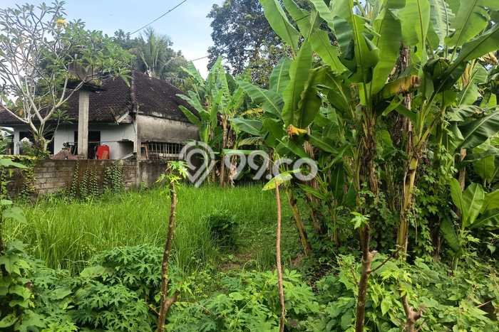 Tanah di Kerambitan, Tabanan Luas 200m2 Dijual Segera Tanah di Kerambitan, Tabanan Luas 200m2 Dijual Segera