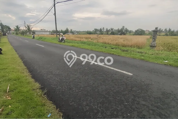 Dijual Tanah Lokasi Gubug, Tabanan Seluas 3200m2 Dijual Tanah Lokasi Gubug, Tabanan Seluas 3200m2