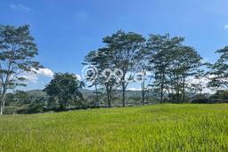 Tanah Kavling Dijual di Kota Baru Parahyangan, Bandung dengan Luas Tanah 901m2 Tanah Kavling Dijual di Kota Baru Parahyangan, Bandung dengan Luas Tanah 901m2