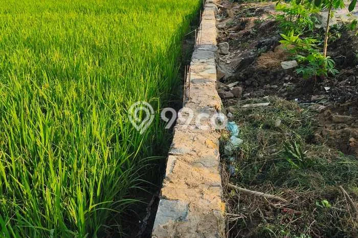 Tanah untuk Dijual di Padalarang Bandung Barat Luas 1095m2 Tanah untuk Dijual di Padalarang Bandung Barat Luas 1095m2