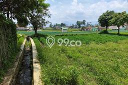 Tanah Kavling di Ciwidey Dijual dengan Luas 5300m2 Tanah Kavling di Ciwidey Dijual dengan Luas 5300m2