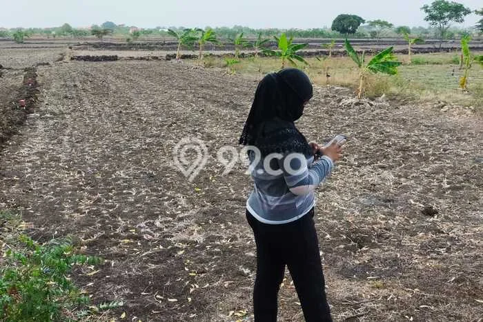 Jual Tanah Area Strategis di Balongpanggang, Luas 120m2m², Prospek Tinggi Jual Tanah Area Strategis di Balongpanggang, Luas 120m2m², Prospek Tinggi