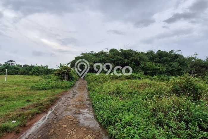 Tanah Kavling untuk Dijual di Panongan Tangerang 45000m2 Tanah Kavling untuk Dijual di Panongan Tangerang 45000m2