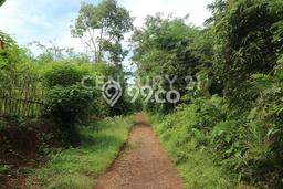 Lahan Dijual Lokasi Jatiluhur, Purwakarta dengan Luas Tanah 40000m2 dan Status SHM Lahan Dijual Lokasi Jatiluhur, Purwakarta dengan Luas Tanah 40000m2 dan Status SHM