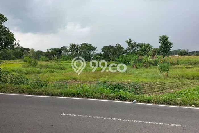 Lahan untuk Dijual di Polanharjo Klaten Luas 2160m2 Lahan untuk Dijual di Polanharjo Klaten Luas 2160m2