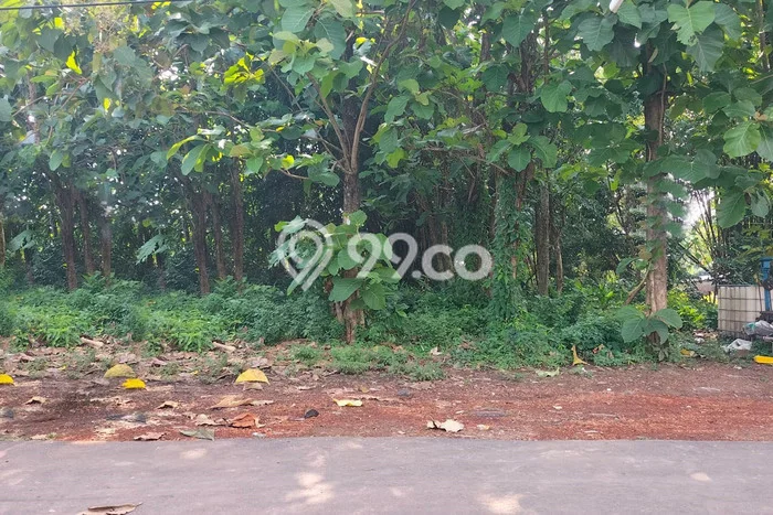 Tanah Siap Bangun Dijual di Boyolali Punya Luas 1000m2 Tanah Siap Bangun Dijual di Boyolali Punya Luas 1000m2