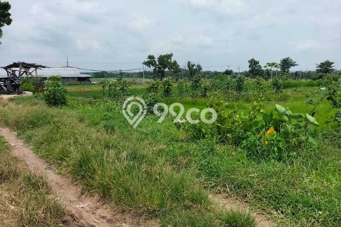 AREA PROSPEKTIF! Tanah di Banyudono, Luas 1785m2m², Akses Fasilitas Umum AREA PROSPEKTIF! Tanah di Banyudono, Luas 1785m2m², Akses Fasilitas Umum