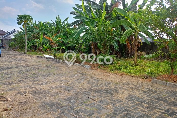 Tanah untuk Dijual di Baki Sukoharjo Luas 115m2 Tanah untuk Dijual di Baki Sukoharjo Luas 115m2