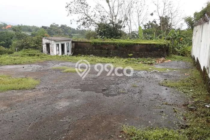 Tanah Komersial Dijual di Prigen Pasuruan 2300m2 Tanah Komersial Dijual di Prigen Pasuruan 2300m2