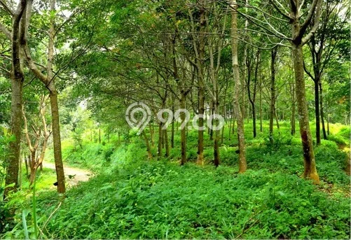 Unit Komersial Dijual di Sukabumi LT 1.297e+07m2 & LB 2400m2 Unit Komersial Dijual di Sukabumi LT 1.297e+07m2 & LB 2400m2