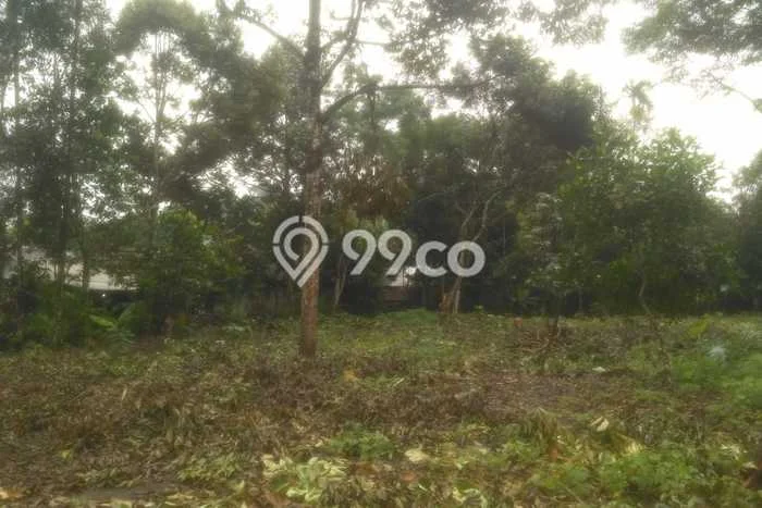 Lahan Kosong Dijual di Pandeglang dengan Area 4959m2 Lahan Kosong Dijual di Pandeglang dengan Area 4959m2