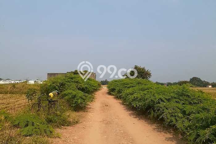 Tanah Dijual Lokasi Batang Batang - Tanah Dijual Lokasi Batang Batang -