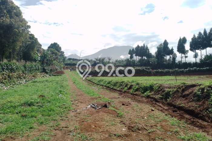 Lahan Investasi Lokasi Sukaraja Sukabumi SHM Lahan Investasi Lokasi Sukaraja Sukabumi SHM