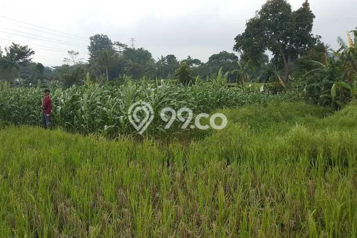 Tanah Strategis Dijual di Sukaraja Sukabumi 32000m2 Tanah Strategis Dijual di Sukaraja Sukabumi 32000m2