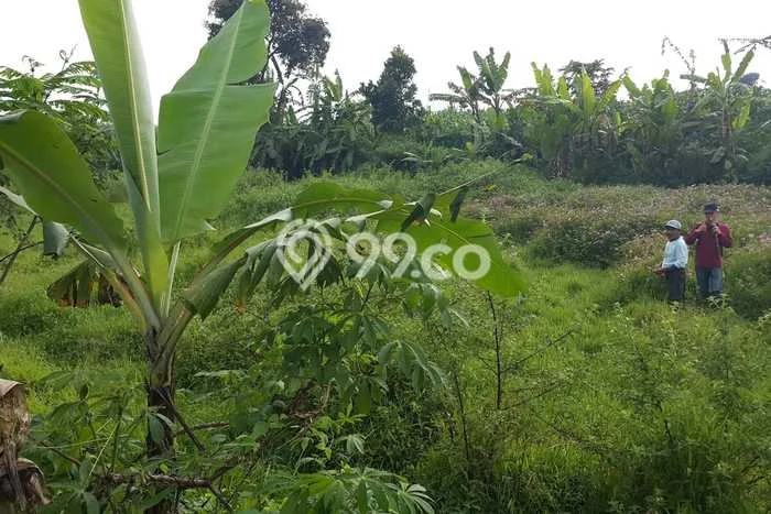Tanah Strategis Dijual di Sukaraja Sukabumi 32000m2 Tanah Strategis Dijual di Sukaraja Sukabumi 32000m2