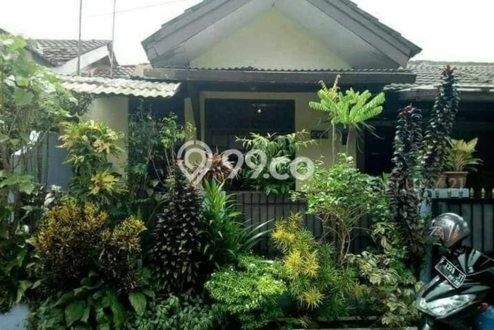 Jual Rumah Harga Miring Ciomas Punya 2 KT & LT 75m2 Jual Rumah Harga Miring Ciomas Punya 2 KT & LT 75m2