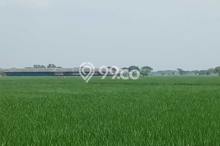 Kavling Tanah di Pebayuran Dijual Luas 19258m2 Legalitas SHM Kavling Tanah di Pebayuran Dijual Luas 19258m2 Legalitas SHM