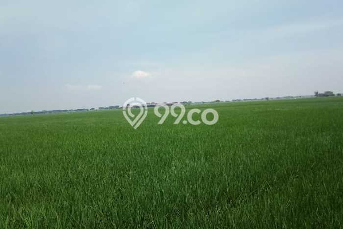 Kavling Tanah di Pebayuran Dijual Luas 19258m2 Legalitas SHM Kavling Tanah di Pebayuran Dijual Luas 19258m2 Legalitas SHM